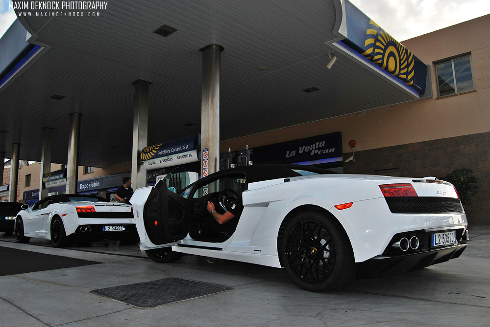 Video Lamborghini Gallardo