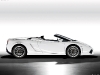 lamborghini-gallardo-lp-560-4-spyder-6.jpg