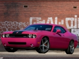 thumbs 2010 dodge challenger rt classic furious fuchsia front 2 at Dodge History & Photo Gallery