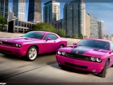 thumbs 2010 dodge challenger rt classic furious fuchsia front at Dodge History & Photo Gallery
