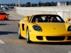 DSC_6012PS.jpg