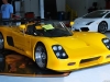 DSC_6060PS.jpg