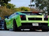 DSC_6069PS.jpg