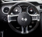 2010-shelby-gt500_14.jpg
