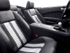 2010-shelby-gt500_17.jpg