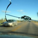 Chipped Windshield Chipped Windshield