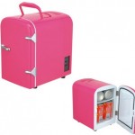 Car refrigerator