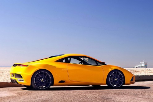 Pictorial: The Lotus Bunch! lotus bunch 11