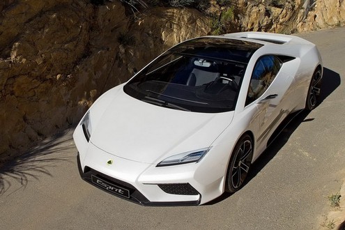 Pictorial: The Lotus Bunch! lotus bunch 3