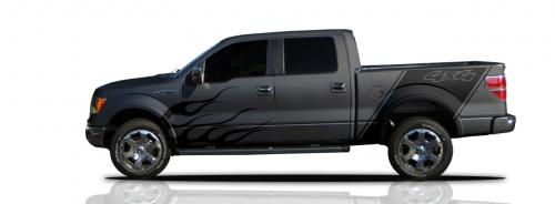 ford graphics 2 at Fords Custom Graphics For Mustang and F 150