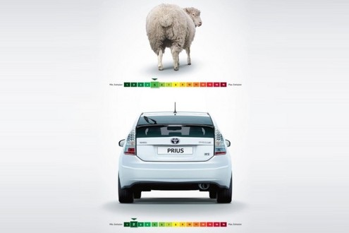toyota vs sheep at Toyota Prius Cleaner Than Sheep?