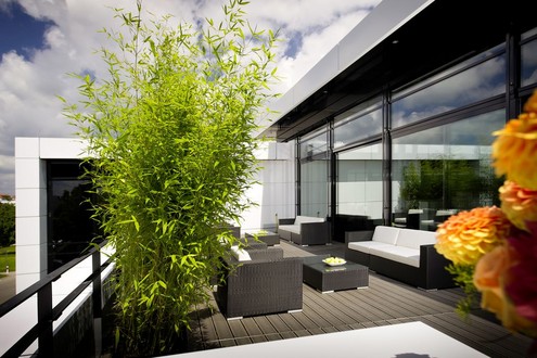 AMG Private Lounge in Affalterbach 2 AMG Private Lounge in Affalterbach 2 at AMG Private Lounge In Affalterbach