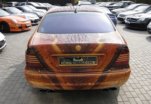 Dragon Wrapped Mercedes S Class 4 at WTF: Dragon wrapped Mercedes S Class