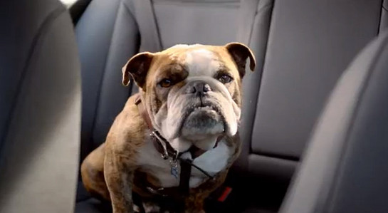 jetta bad dog at 2013 Volkswagen Jetta Bad Dog Commercial