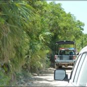 motorward off road mexico 17 175x175 at Off Roading with Motorward to Sian Kaan   Mexico
