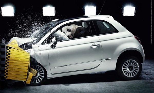 Fiat Panda 600x362 at All You Need to Know About Crash Tests