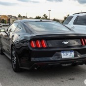 Mustang GT spot 7 175x175 at 2015 Ford Mustang GT Spotted on the Road