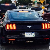 Mustang GT spot 9 175x175 at 2015 Ford Mustang GT Spotted on the Road