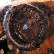 hairy 500 3 175x175 at Disgusting: Fiat 500 Covered in Human Hair!