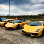 lambo HK 5 175x175 at Gallery: Lamborghini Club of Hong Kong Meeting