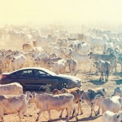 Top Gear Series 22 1 175x175 at Top Gear Series 22 Details Revealed [Spoiler Alert]