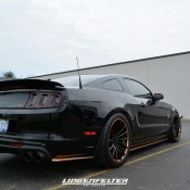 Lingenfelter Collection 2015 31 175x175 Lingenfelter Collection 2015 31 175x175 at Gallery: Lingenfelter Collection Open House 2015