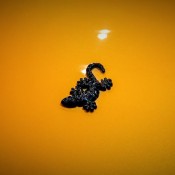 Wiesmann GT Alain 6 175x175 Wiesmann GT Alain 6 175x175 at Blast from the (Recent) Past: Wiesmann GT