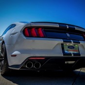 Shelby GT350 Mustang Shoot 5 175x175 Shelby GT350 Mustang Shoot 5 175x175 at Shelby GT350 Mustang Looks Incredible Up Close!