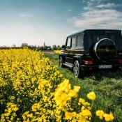 Mercedes Benz Europa Park 10 175x175 at Gallery: Mercedes Benz at Europa Park