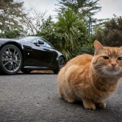 Aston Martin Art of Living 8 175x175 at Gallery: Aston Martin Art of Living at Huka Lodge