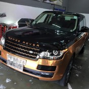Copper Rose Range Rover 5 175x175 at Gallery: Copper Rose Range Rover