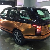 Copper Rose Range Rover 7 175x175 at Gallery: Copper Rose Range Rover