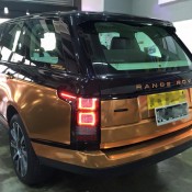 Copper Rose Range Rover 8 175x175 at Gallery: Copper Rose Range Rover