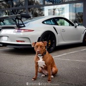 Fashion Grey GT3 RS 12 175x175 at Fashion Grey Porsche 991 GT3 RS Spotted with Guard Dog!