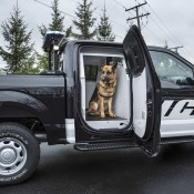 Ford F 150 Special Service Vehicle 2 175x175 at Ford F 150 Special Service Vehicle Unveiled
