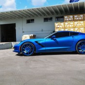 Blue on Blue Corvette 6 175x175 at Blue on Blue Corvette by Forgiato Wheels