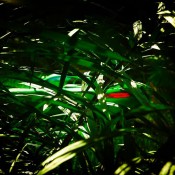 AMG GT R Jungle 1 175x175 at Mercedes AMG GT R Shows Some Skin in New Teasers