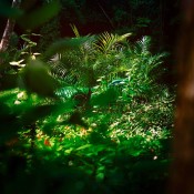 AMG GT R Jungle 4 175x175 at Mercedes AMG GT R Shows Some Skin in New Teasers