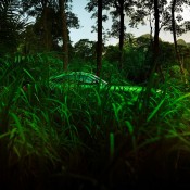 AMG GT R Jungle 6 175x175 at Mercedes AMG GT R Shows Some Skin in New Teasers