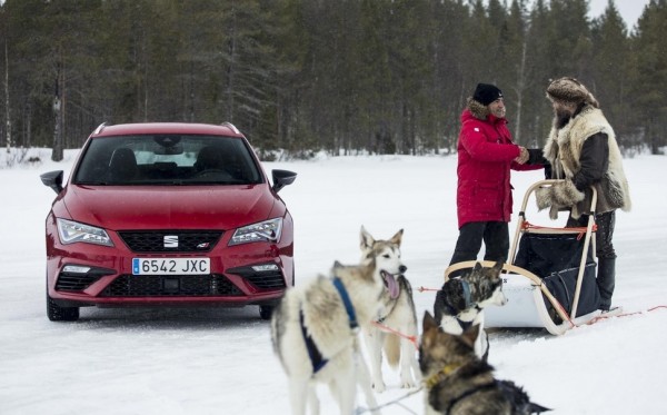 Cupra vs Husky 0 600x373 at SEAT Leon CUPRA Takes on Six Siberian Huskies!
