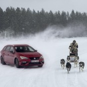 Cupra vs Husky 1 175x175 at SEAT Leon CUPRA Takes on Six Siberian Huskies!
