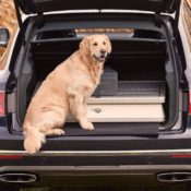 Bentley Bentayga Field Sports by Mulliner 5 175x175 at Bentley Bentayga Field Sports by Mulliner Belongs to a Bygone Era