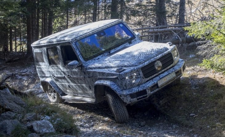 2019 Mercedes G Class 14 730x447 at 2019 Mercedes G Class   First Official Details and Pictures