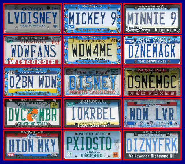 vanity plate collage at The Top License Plate Lookup Options (And Which One is Best)
