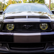 AM Mustang 2 175x175 AM Mustang 2 175x175 at AmericanMuscle Customer Spotlight Video | 2012 GT