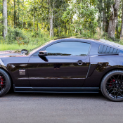 AM Mustang 3 175x175 AM Mustang 3 175x175 at AmericanMuscle Customer Spotlight Video | 2012 GT