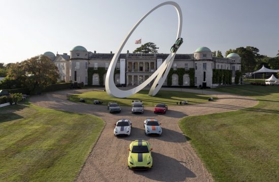 Goodwood Festival 550x360 at What are the Most Popular Motorsports in the UK?
