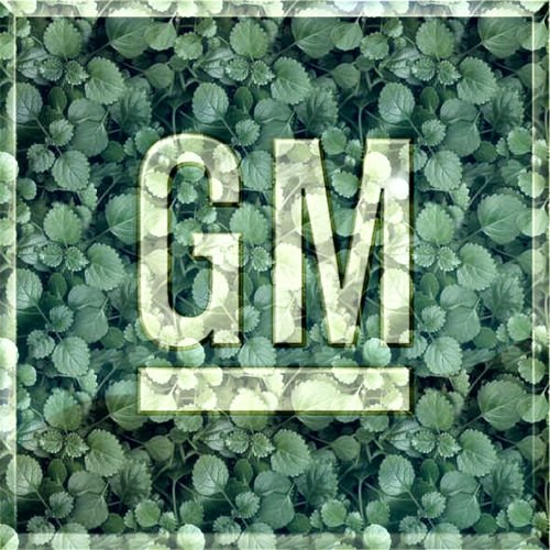 gm  green logo at GM starts going green ...with its logo!